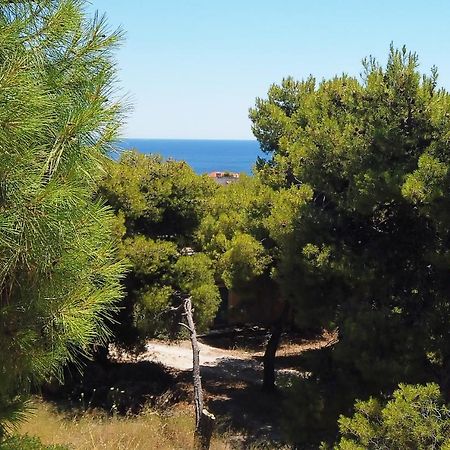 Fistiki Rooms Agia Marina  Esterno foto