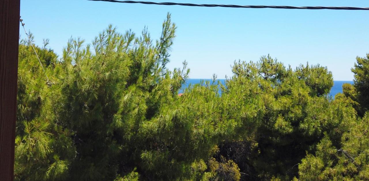 Fistiki Rooms Agia Marina  Esterno foto