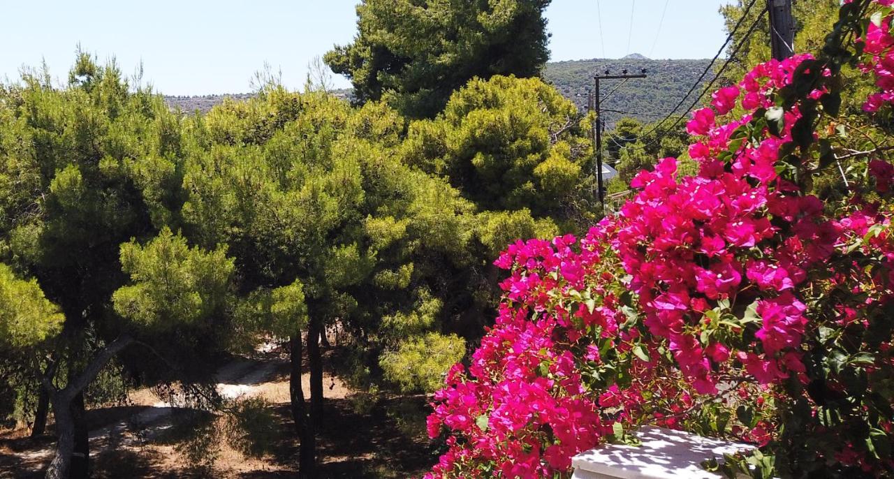 Fistiki Rooms Agia Marina  Esterno foto